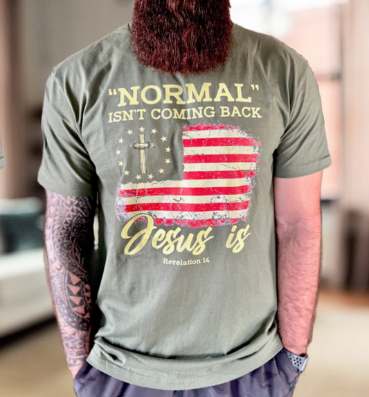 Normal isn’t coming back Jesus Is Shirt Christian hoodies Jesus Shirt Faith Pray Jesus Christian shirt Faith Shirt Jesus Shirt Religious